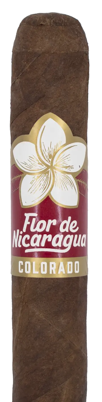 Flor De Nicaragua Colorado Robusto Cigar - Single 1