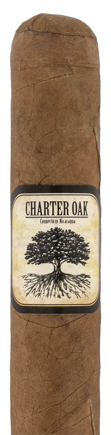 Foundation Cigars Charter Oak Original Petit Corona - Single 1