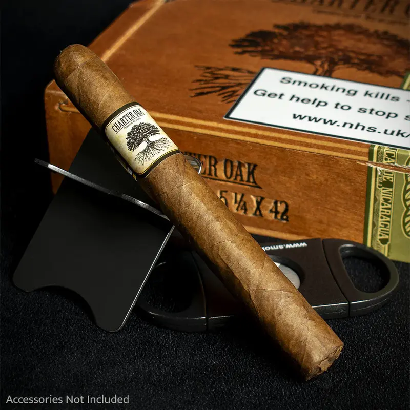 Foundation Cigars Charter Oak Original Petit Corona - Single 2