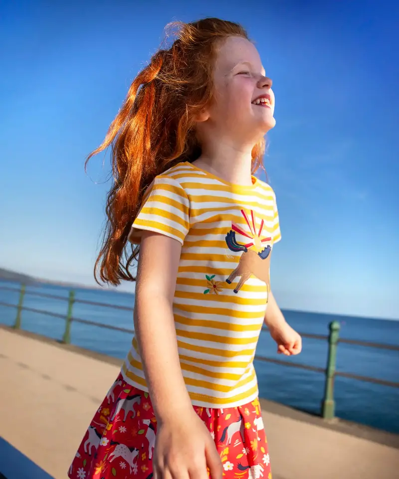 Frugi Elise Applique T-Shirt - Stripe / Horse 3