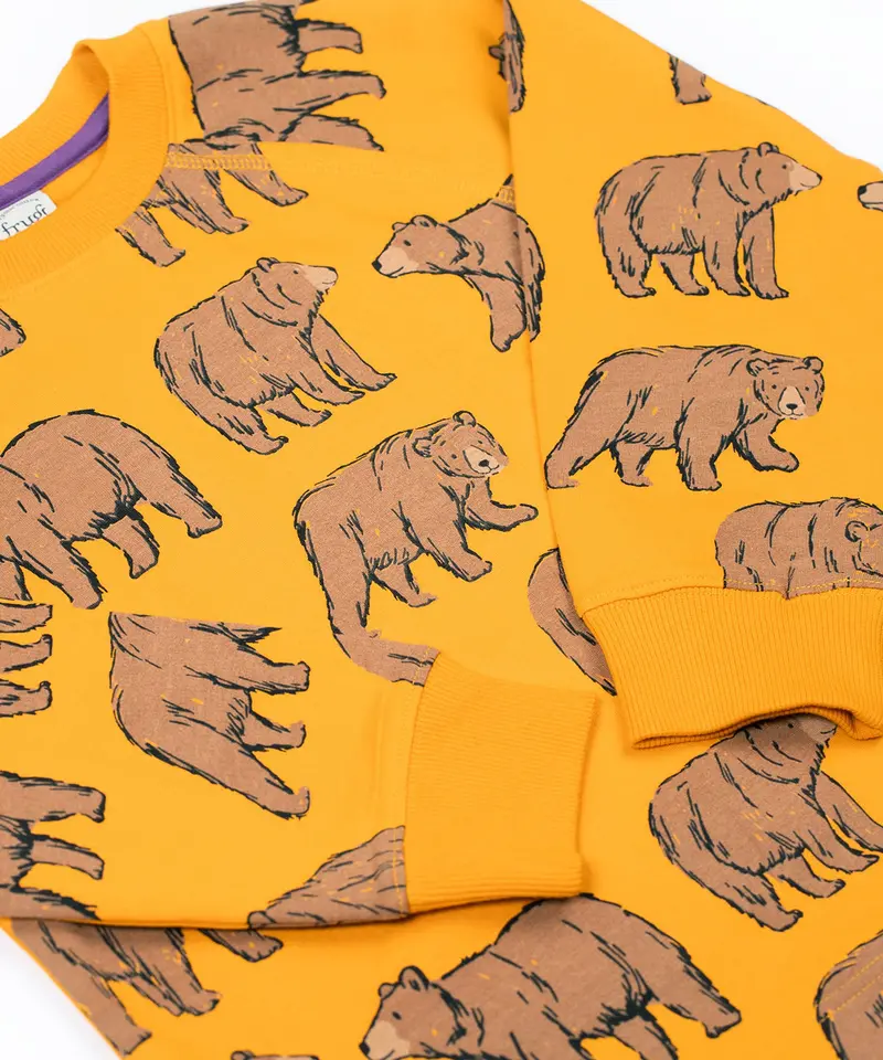 Frugi Ethan Printed Sweatshirt - Beary Wild 4