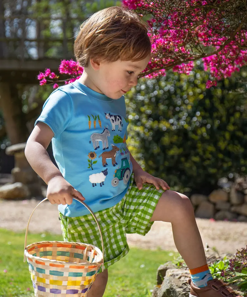 Frugi Giles Shorts - Macaw Gingham 2