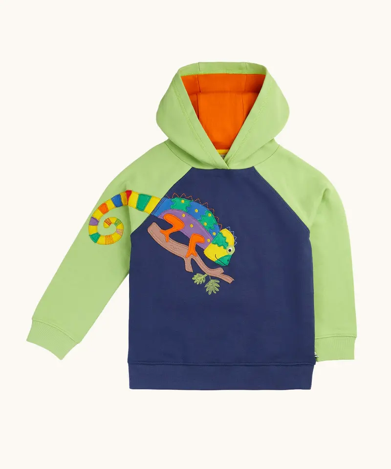 Frugi Hedgerow Hoodie - Navy / Chameleon 1