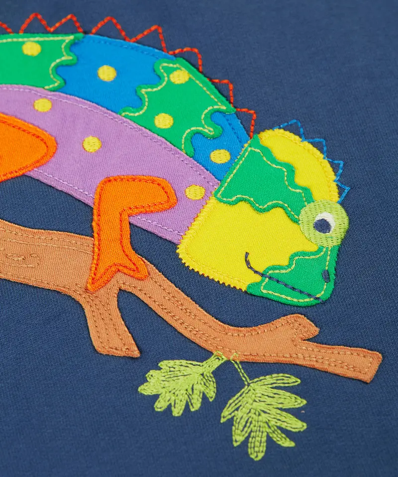 Frugi Hedgerow Hoodie - Navy / Chameleon 2