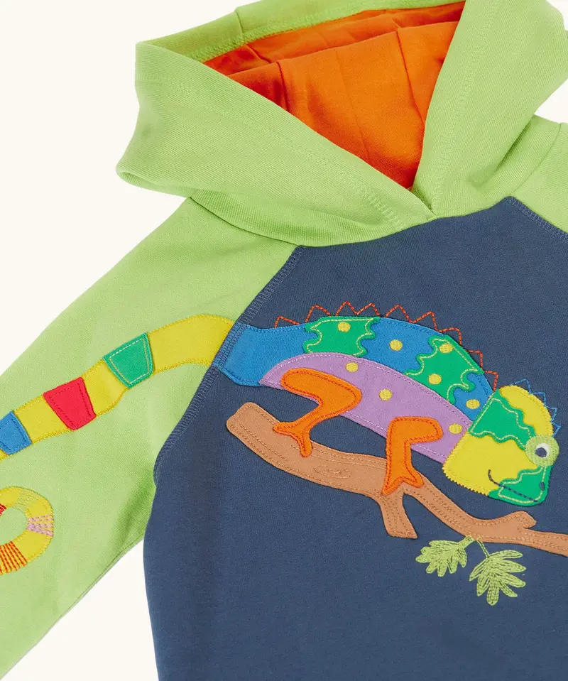 Frugi Hedgerow Hoodie - Navy / Chameleon 3