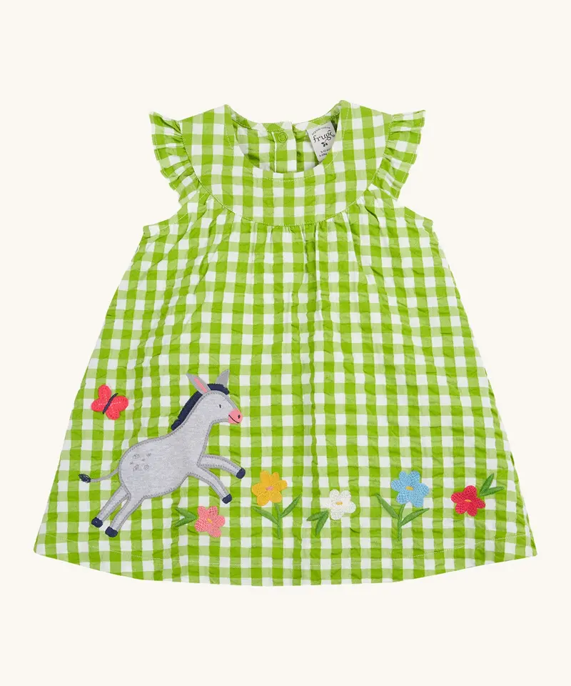 Frugi Myrtle Body Dress - Macaw Gingham / Donkey 1
