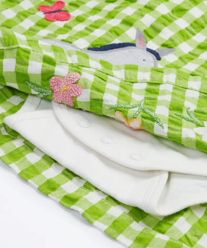 Frugi Myrtle Body Dress - Macaw Gingham / Donkey 2