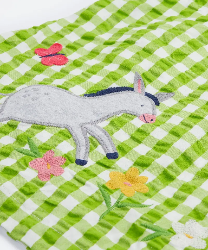 Frugi Myrtle Body Dress - Macaw Gingham / Donkey 3