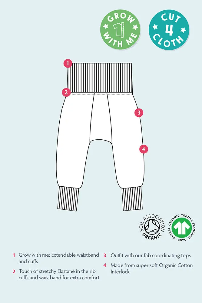 Frugi Parsnip Pants - Rainbow Stripe 4