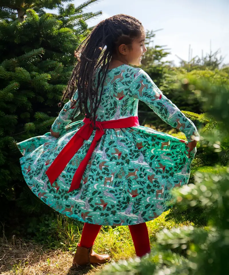 Frugi Party Skater Dress - Festive Forest 3