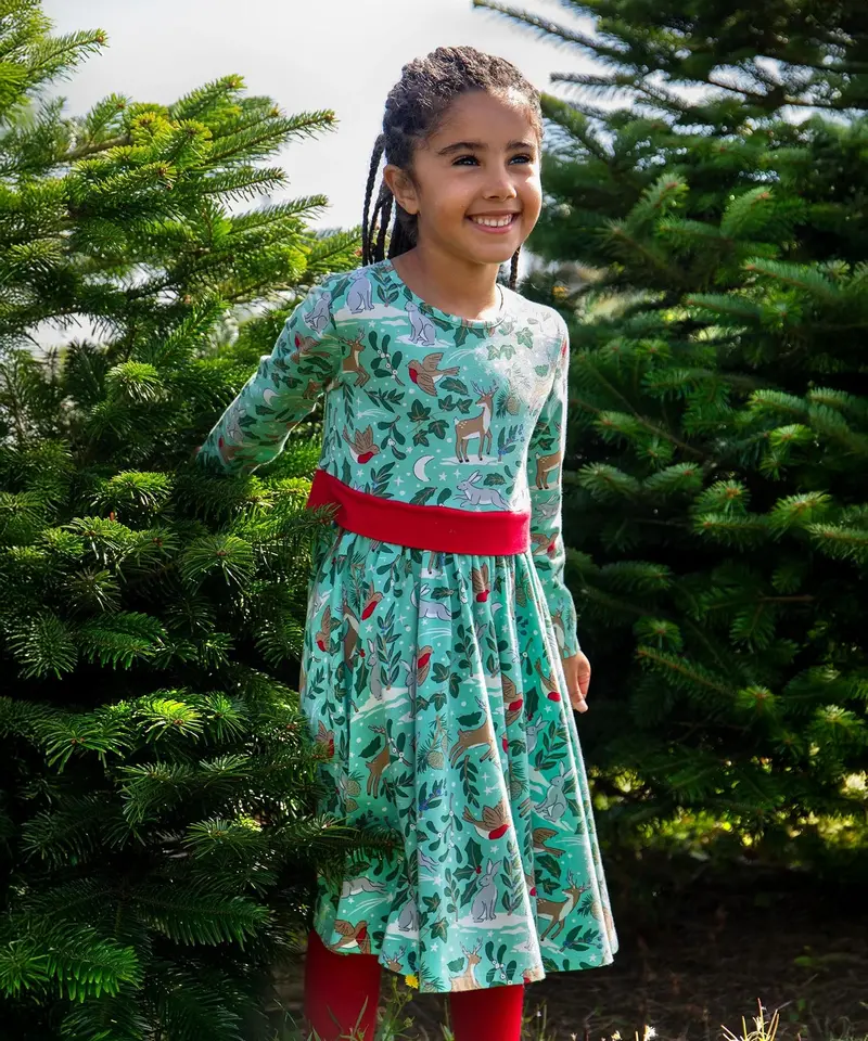 Frugi Party Skater Dress - Festive Forest 4