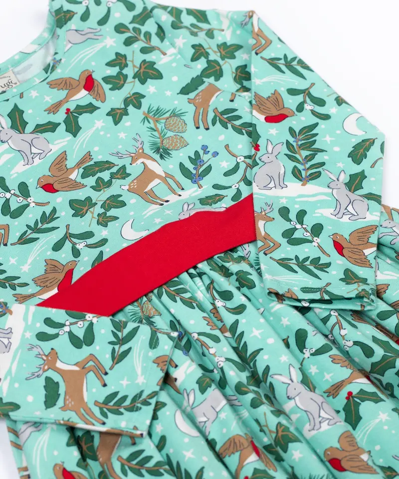 Frugi Party Skater Dress - Festive Forest 6