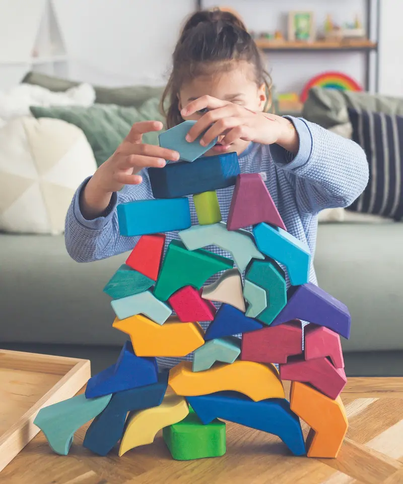 Grimm's Building Set Four Temperaments 2