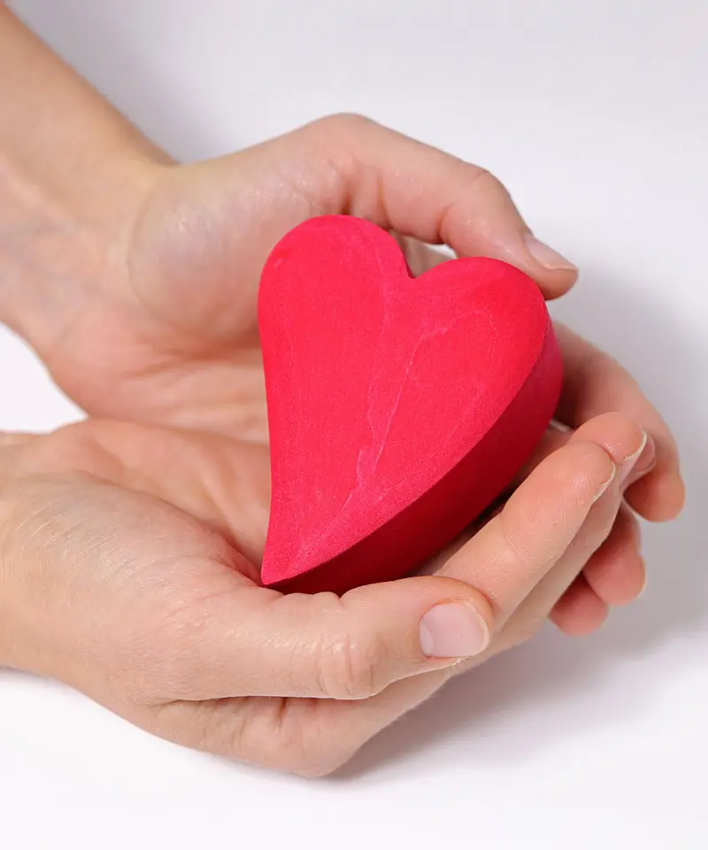 Grimm's Building Set Red Hearts 2