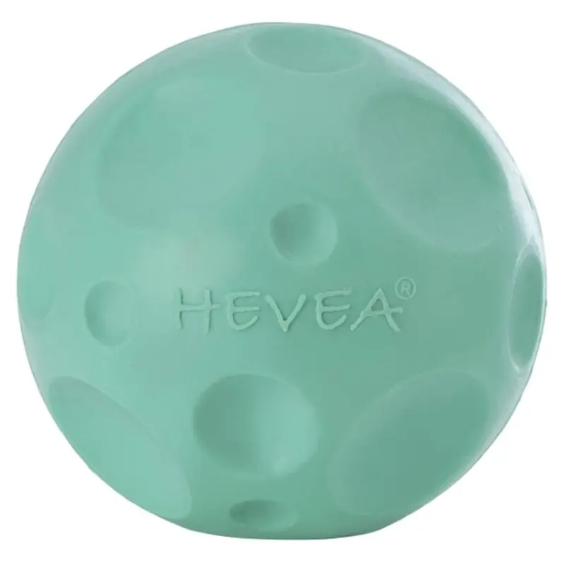 Hevea Dog Moon Ball Activity Toy - Pale Mint 1