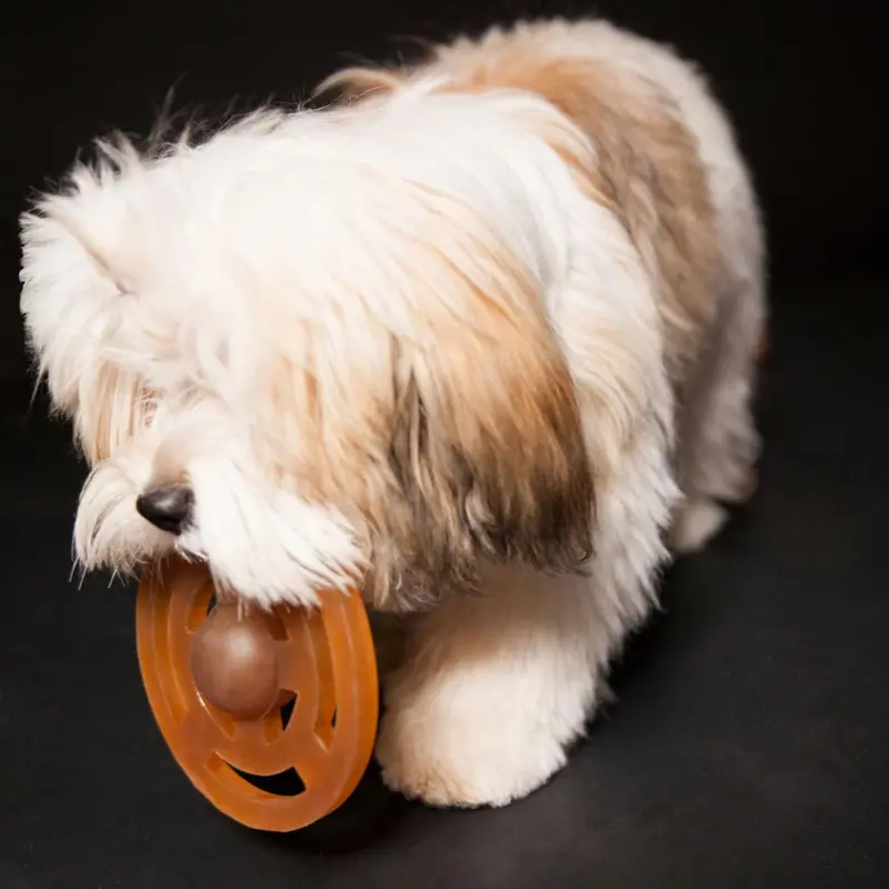 Hevea Galaxy Puppy Fetch Toy 2