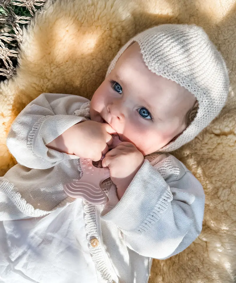 Hevea Natural Rubber Fish & Ring Teether Set 2