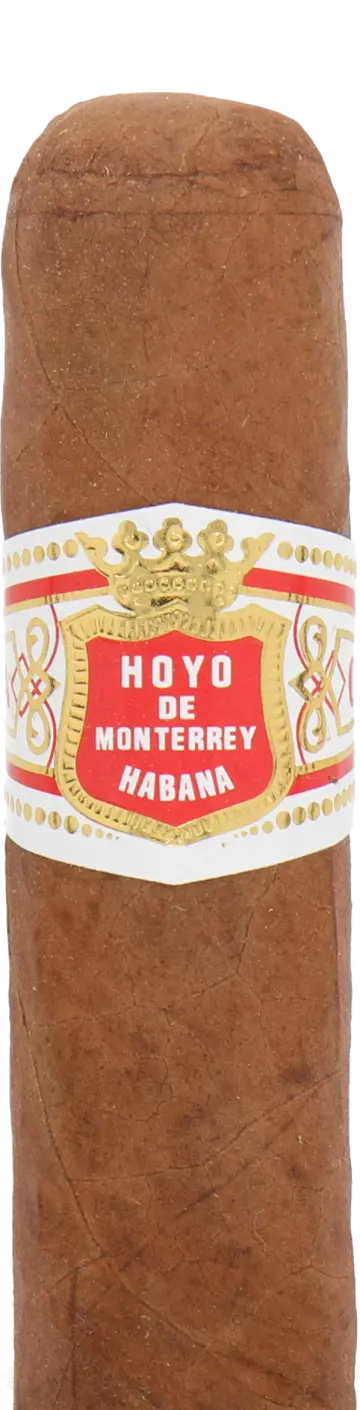 Hoyo De Monterrey Petit Robusto Cuban Cigar - Single 1