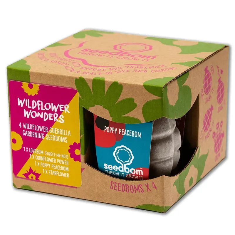 Kabloom Wildflower Wonders Gift Box 1