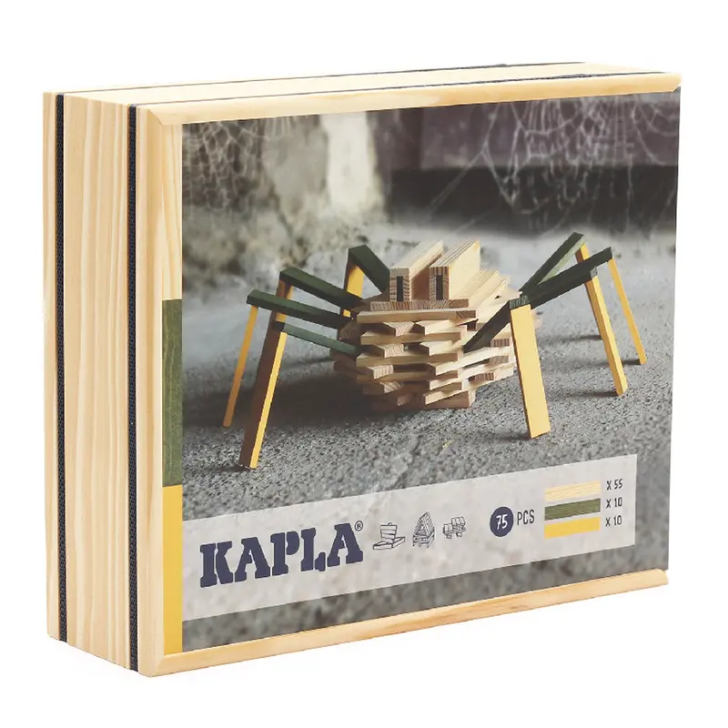 Kapla 75 Piece Spider Case 1