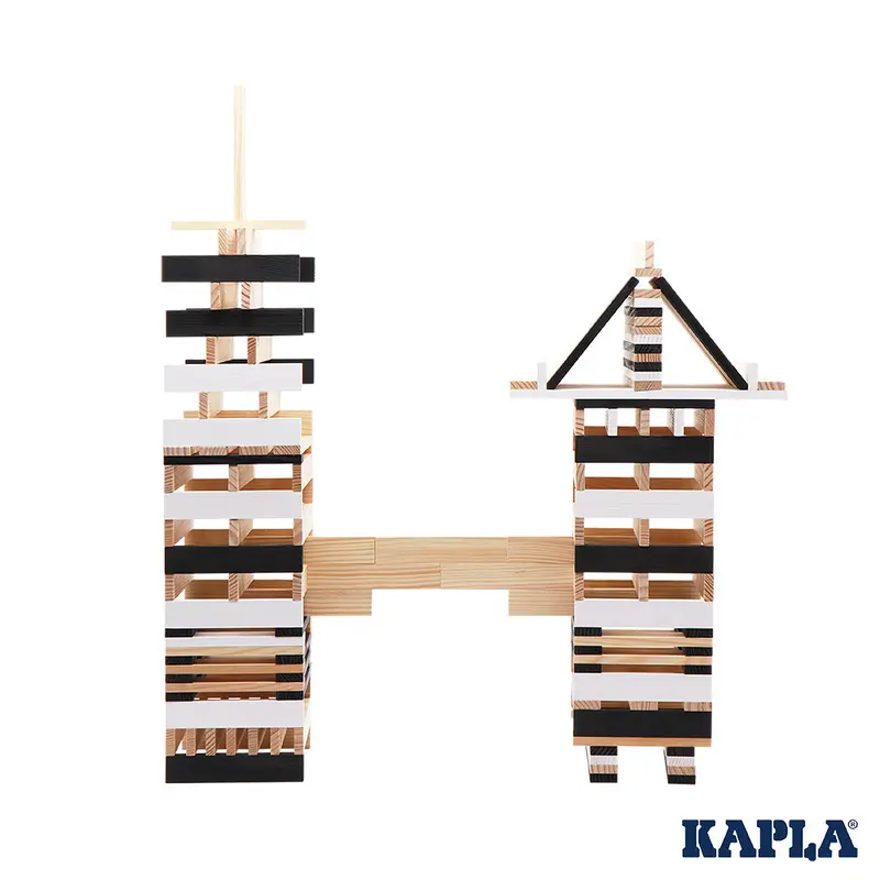 Kapla Black And White 100 Case 2