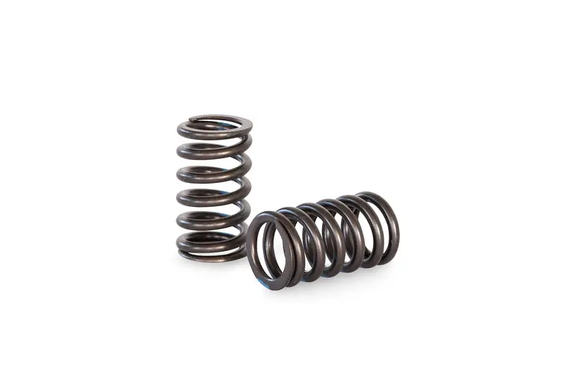 Kelford Cams | 4Age 16V Valve Springs (Pacaloy) 1
