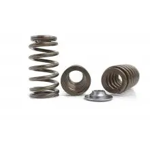 Kelford Cams | Ba Turbo 6 Race Spring And Retainer Kit 1