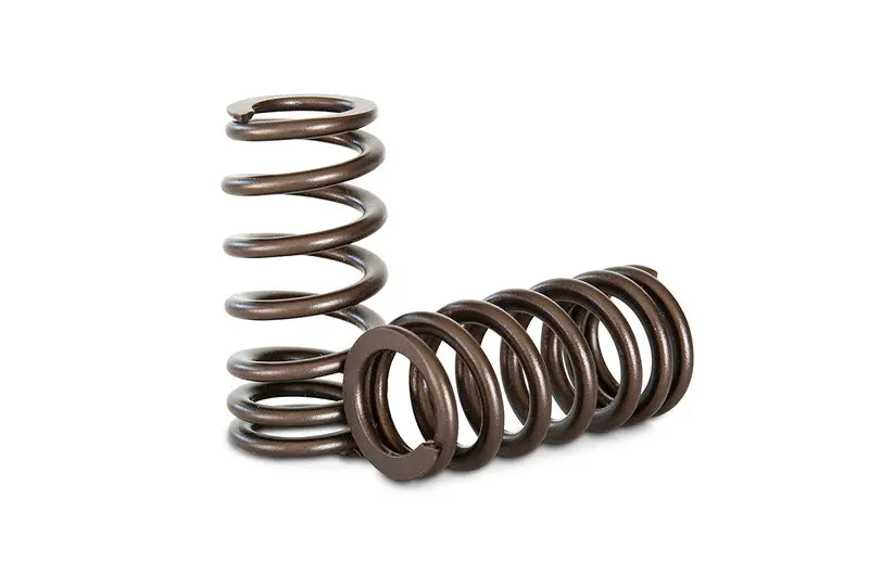 Kelford Cams | Ba Turbo 6 Race Spring Kit 1