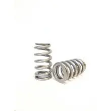 Kelford Cams | Ford Gen 2, 3.5 Litre Ecoboost V6 Beehive Valve Spring Set 1