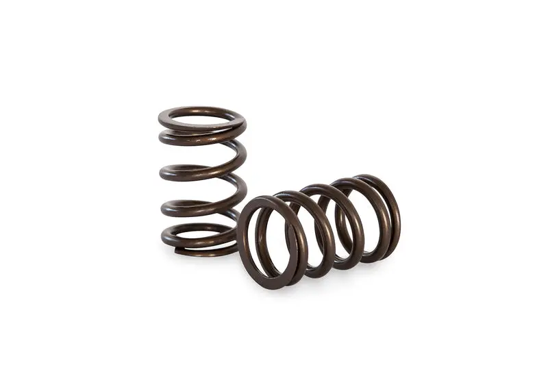 Kelford Cams | Formula Ford Valve Spring Kit 1