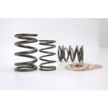 Kelford Cams | Honda B18/B20b Dual Valve Spring Set 1