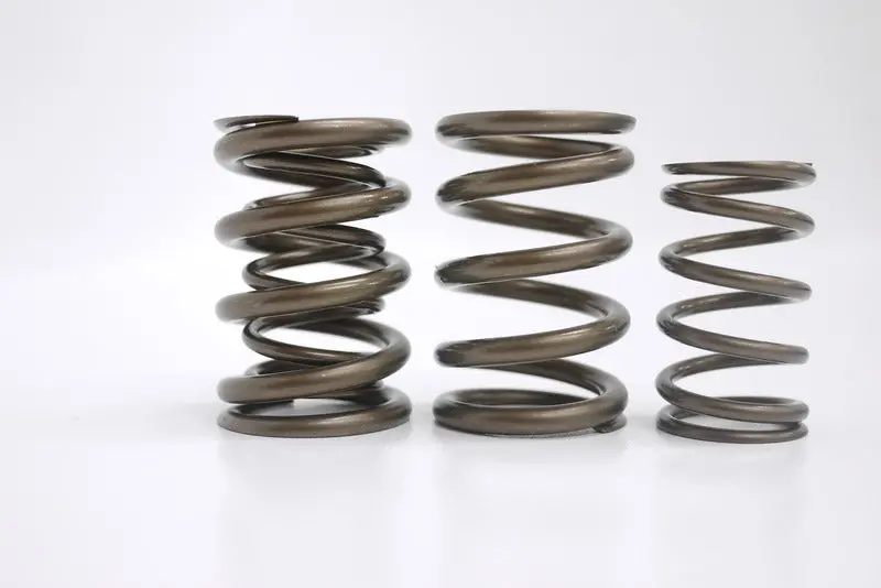 Kelford Cams | Kelford Pacaloy Race Spring (Sr16/20Ve) 1