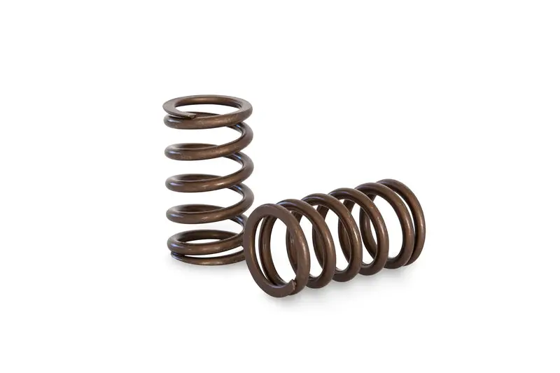 Kelford Cams | Nissan Rb20 Race Spring Set 1