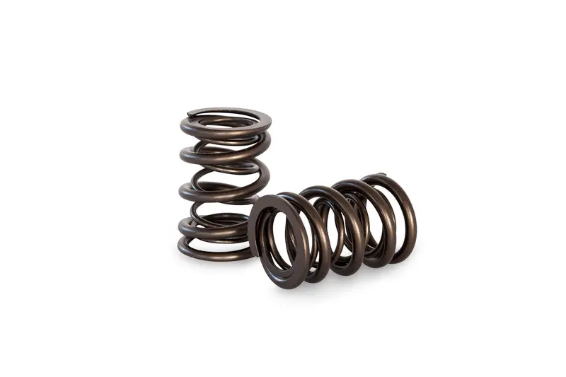Kelford Cams | Pacaloy Dual Valve Springs (Ford Nissan Toyota) 1