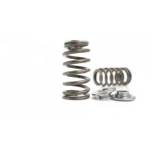 Kelford Cams | Toyota 2Gr-Fe Beehive Spring And Titanium Retainer Kit 1