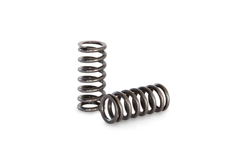 Kelford Cams | Toyota 4Age 20V Black & Silver Top Valve Springs 1