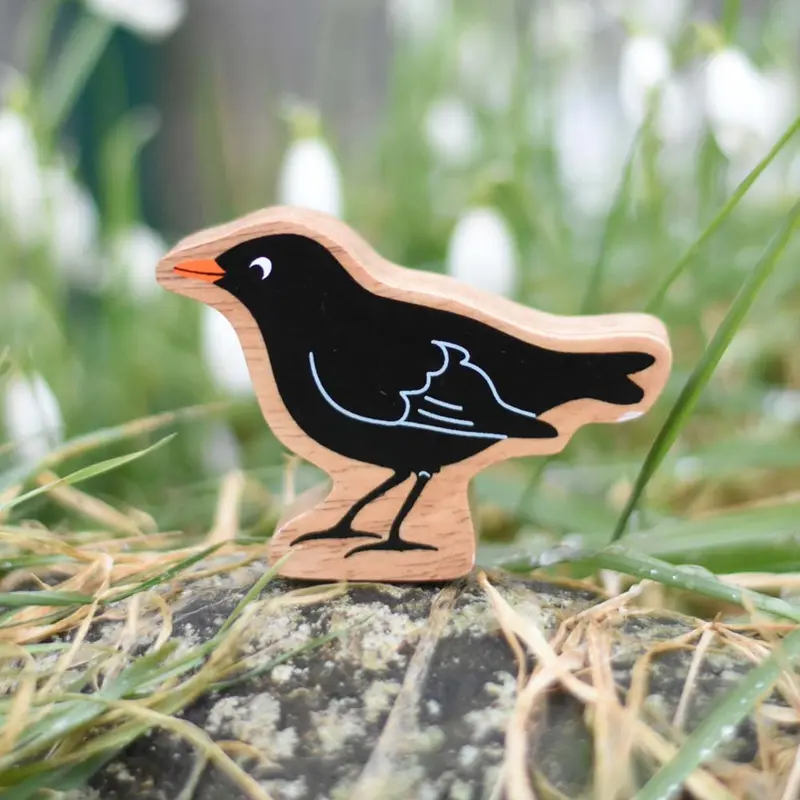 Lanka Kade Blackbird 2