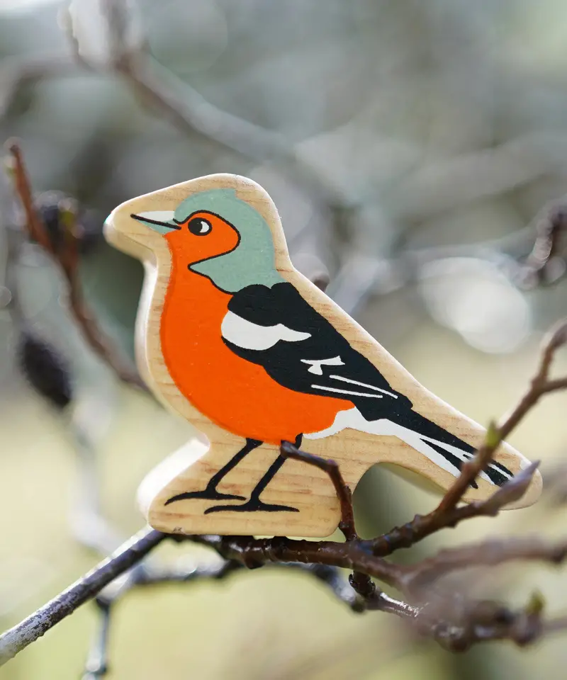 Lanka Kade Chaffinch 2
