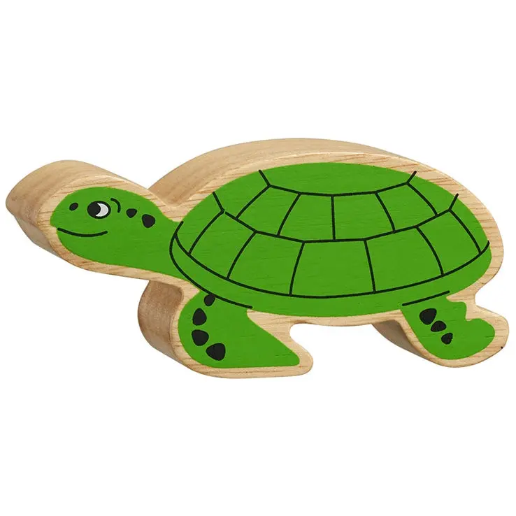 Lanka Kade Green Turtle 1