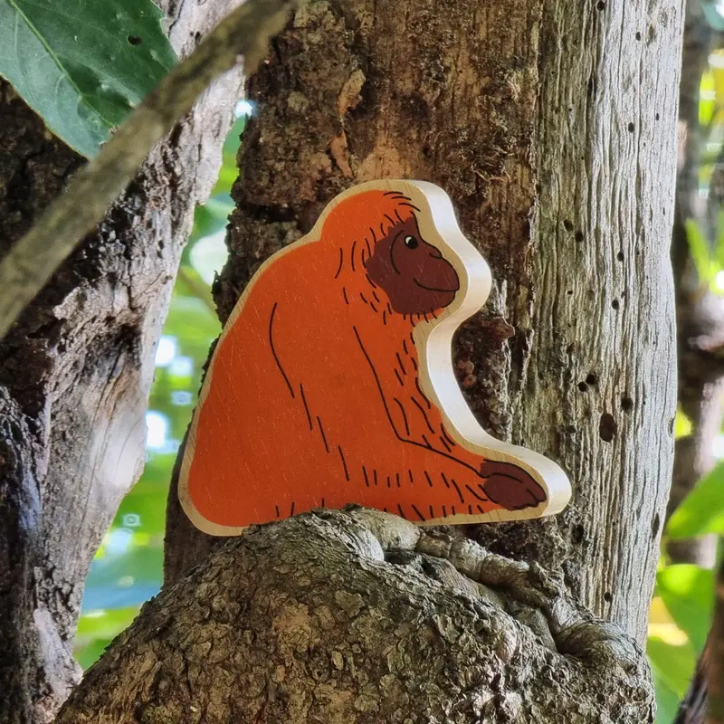 Lanka Kade Orange Orangutang 2