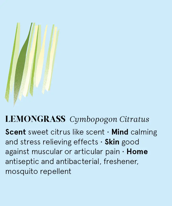 Lemongrass Essential Oil 12Ml 2