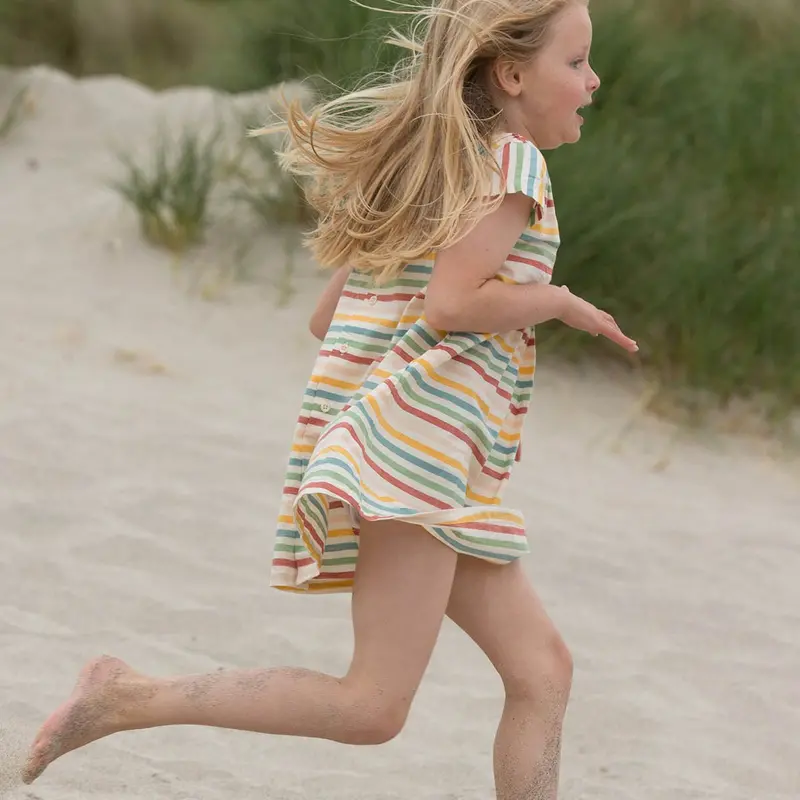 Lgr Rainbow Striped Smocked Dress 2