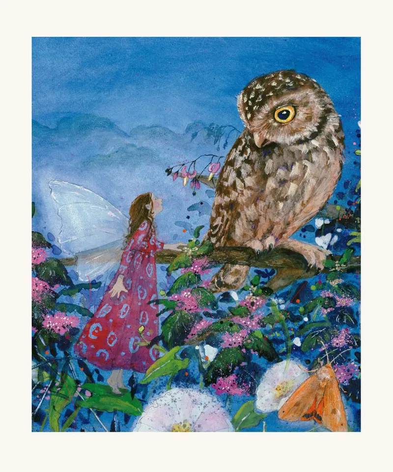 Little Fairy Can't Sleep By Daniela Drescher 2
