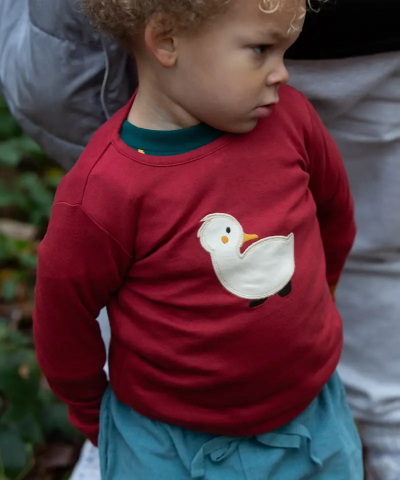 Little Green Radicals Applique Long Sleeve Top - Duckling 2