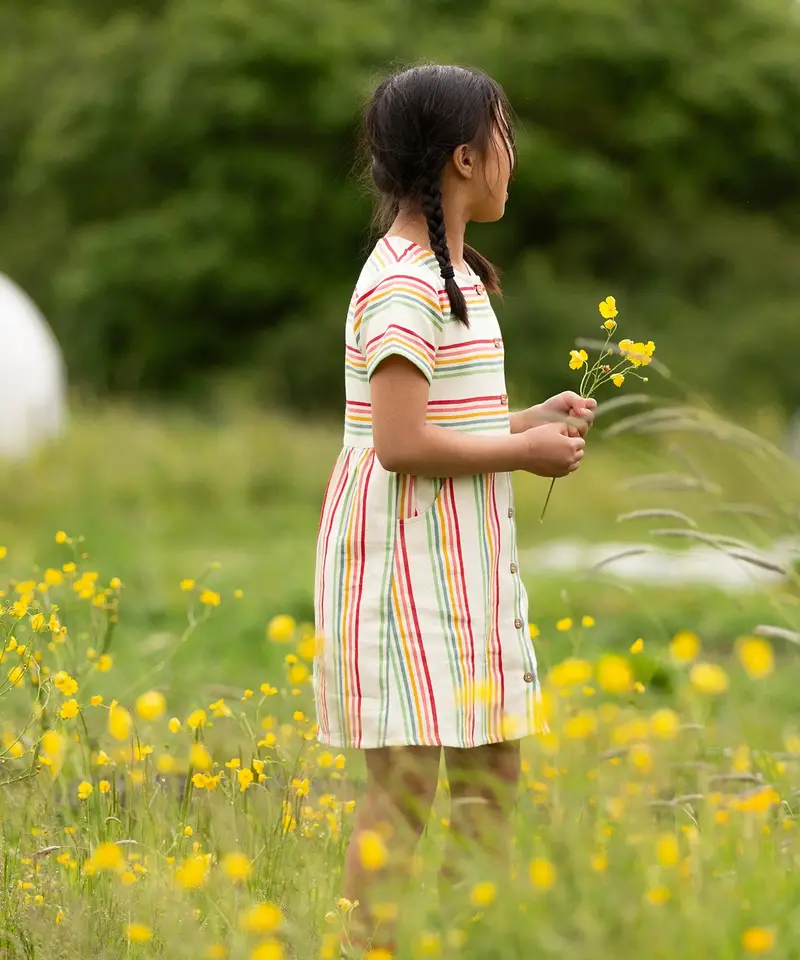Little Green Radicals Button Short Sleeve Summer Dress - Rainbow 3