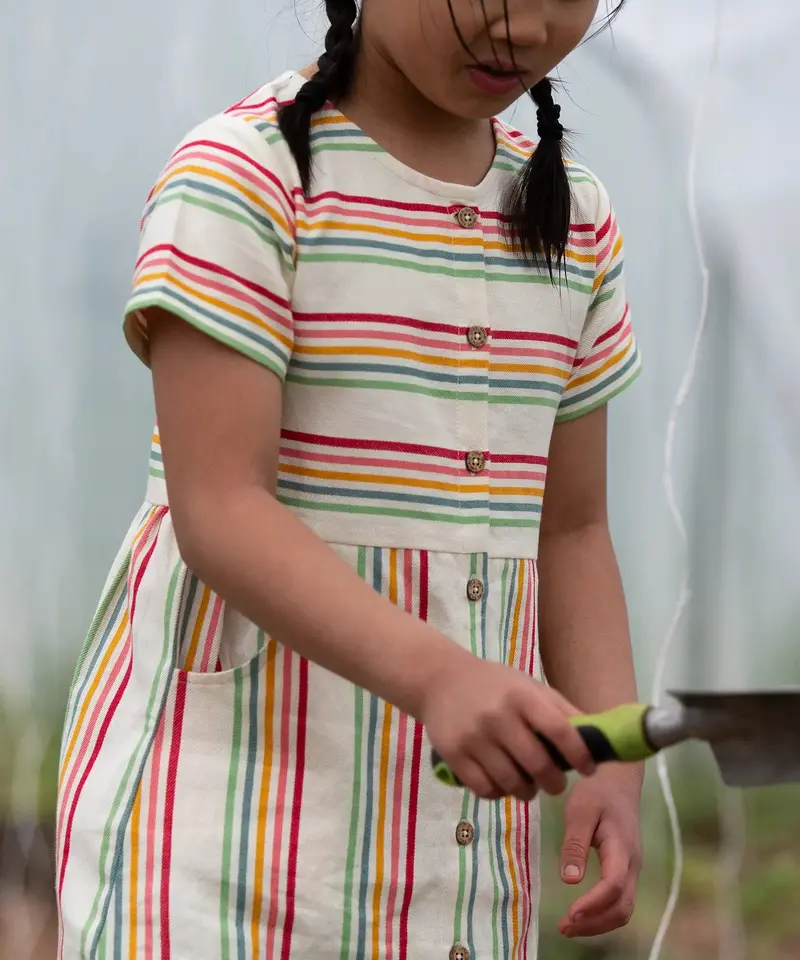 Little Green Radicals Button Short Sleeve Summer Dress - Rainbow 4