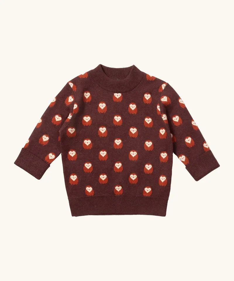 Little Green Radicals Knitted Jumper - Brown Owl 1