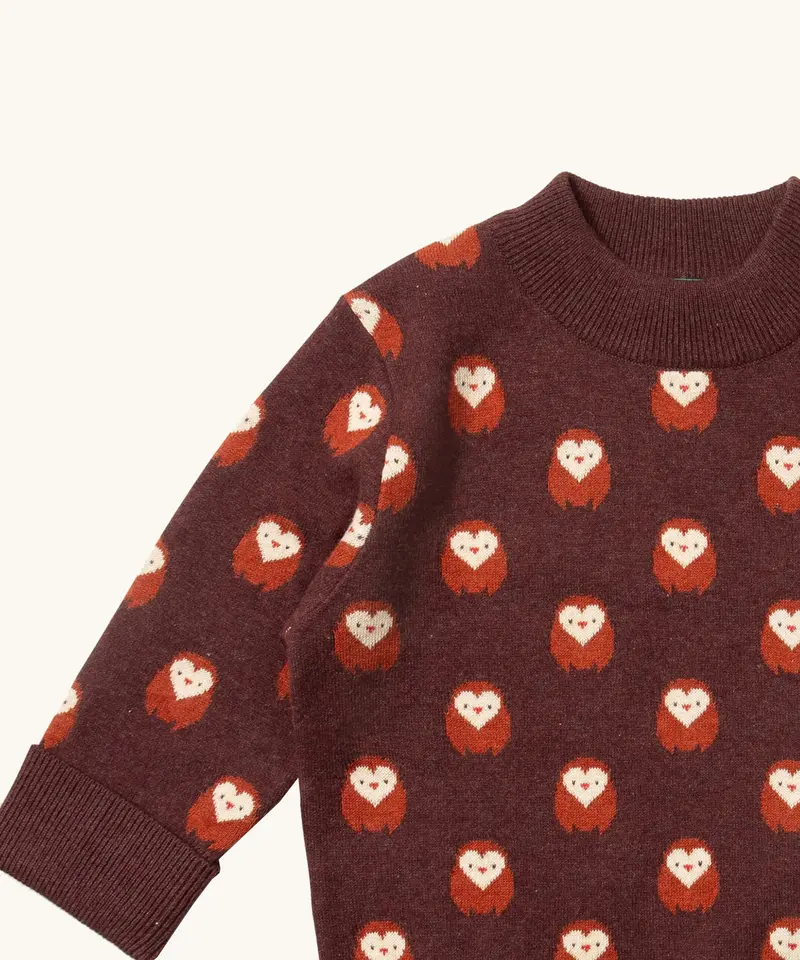 Little Green Radicals Knitted Jumper - Brown Owl 5