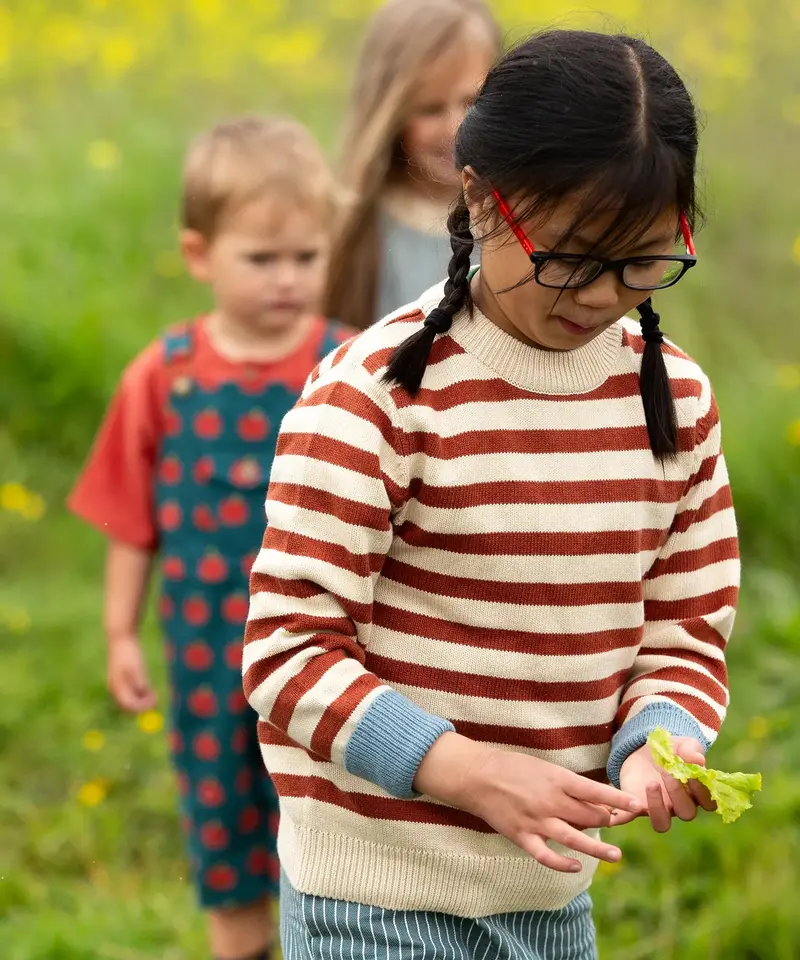 Little Green Radicals Knitted Jumper - Ginger Stripe 3