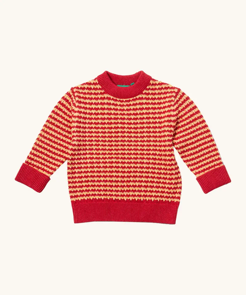 Little Green Radicals Knitted Jumper - Juniper Striped 1